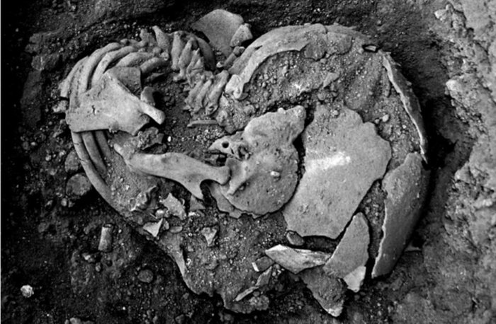 Rodrigo Elias Oliveira / Agência FAPESP/Divulgação