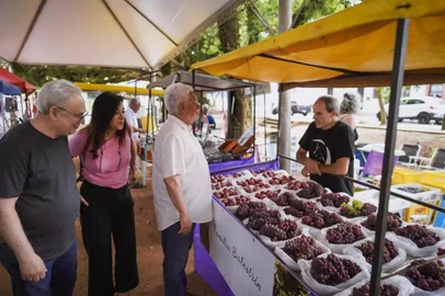 Festa da Uva e Ameixa de Porto Alegre de 2023<!-- NICAID(15327851) -->