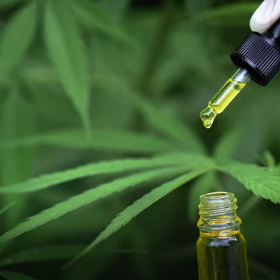 The hands of scientists dropping marijuana oil for experimentation and research, ecological hemp plant herbal pharmaceutical cbd oil from a jar.Fonte: 370517133<!-- NICAID(15485561) -->