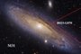 Astrônomos identificam buraco negro raro em Andrômeda, galáxia mais próxima da via láctea.<!-- NICAID(14998984) -->