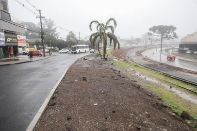 CAXIAS DO SUL, RS, BRASIL. 08-08-2025. na segunda-feira (11), prefeitura fará o transplante de um jerivá no cruzamento das ruas Cristiano Ramos de Oliveira com Guerino Vetorazzi, em obra de revitalização do acesso ao bairro Desvio Rizzo.Indexador: Bruno Todeschini<!-- NICAID(16097491) -->