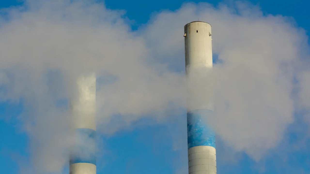 Jan van der Wolf/Pexels