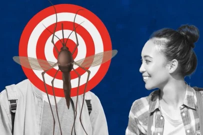 Frame do vídeo sobrepicada de mosquitos para o Quero Saber<!-- NICAID(15557122) -->