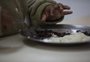 “Aquém do recomendado”: número de nutricionistas na rede estadual do RS não chega a 1% do necessário 