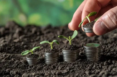 Money growth in soil with green leaves and trees concept, business and farming success finance. Agriculture plant seeding growing step concept in garden<!-- NICAID(16201406) -->