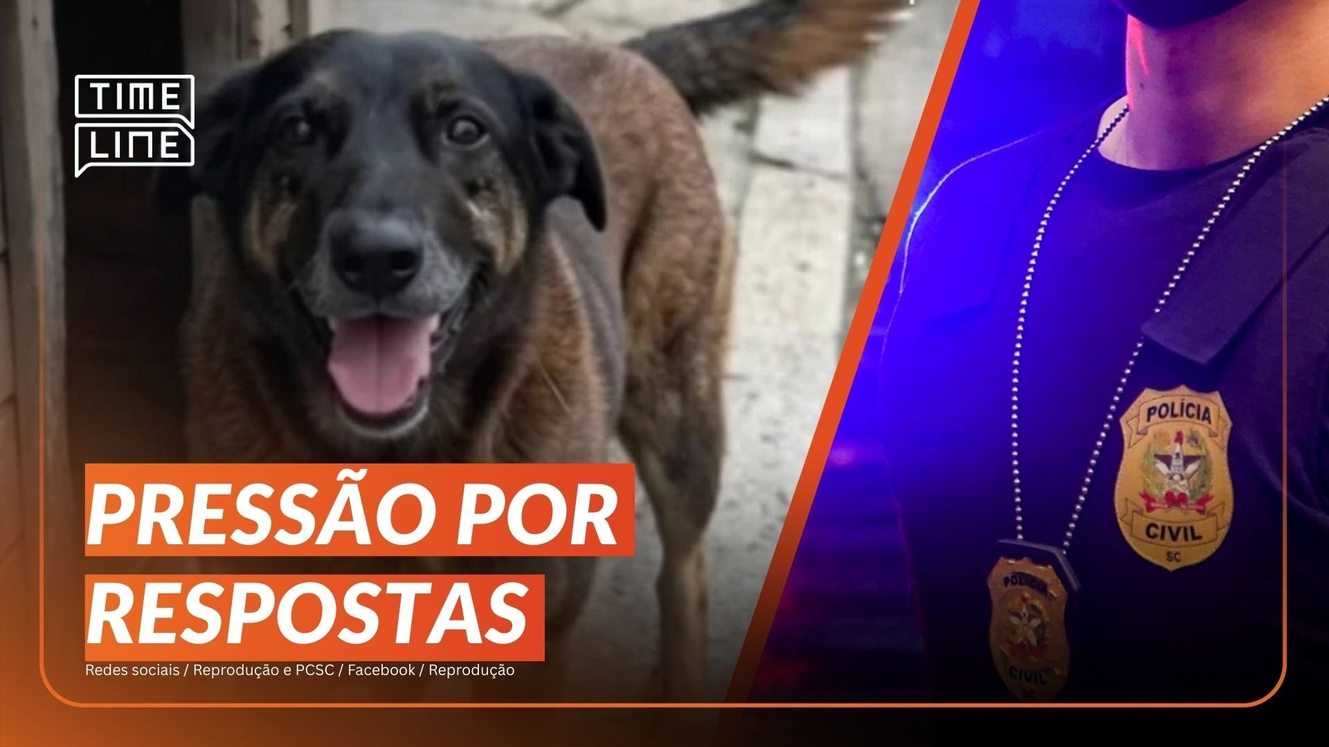 Caso Orelha: pol&iacute;cia conclui investiga&ccedil;&atilde;o e pede interna&ccedil;&atilde;o de um adolescente