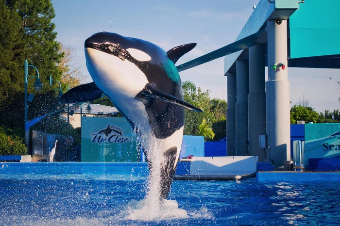 Dmitro / stock.adobe.com