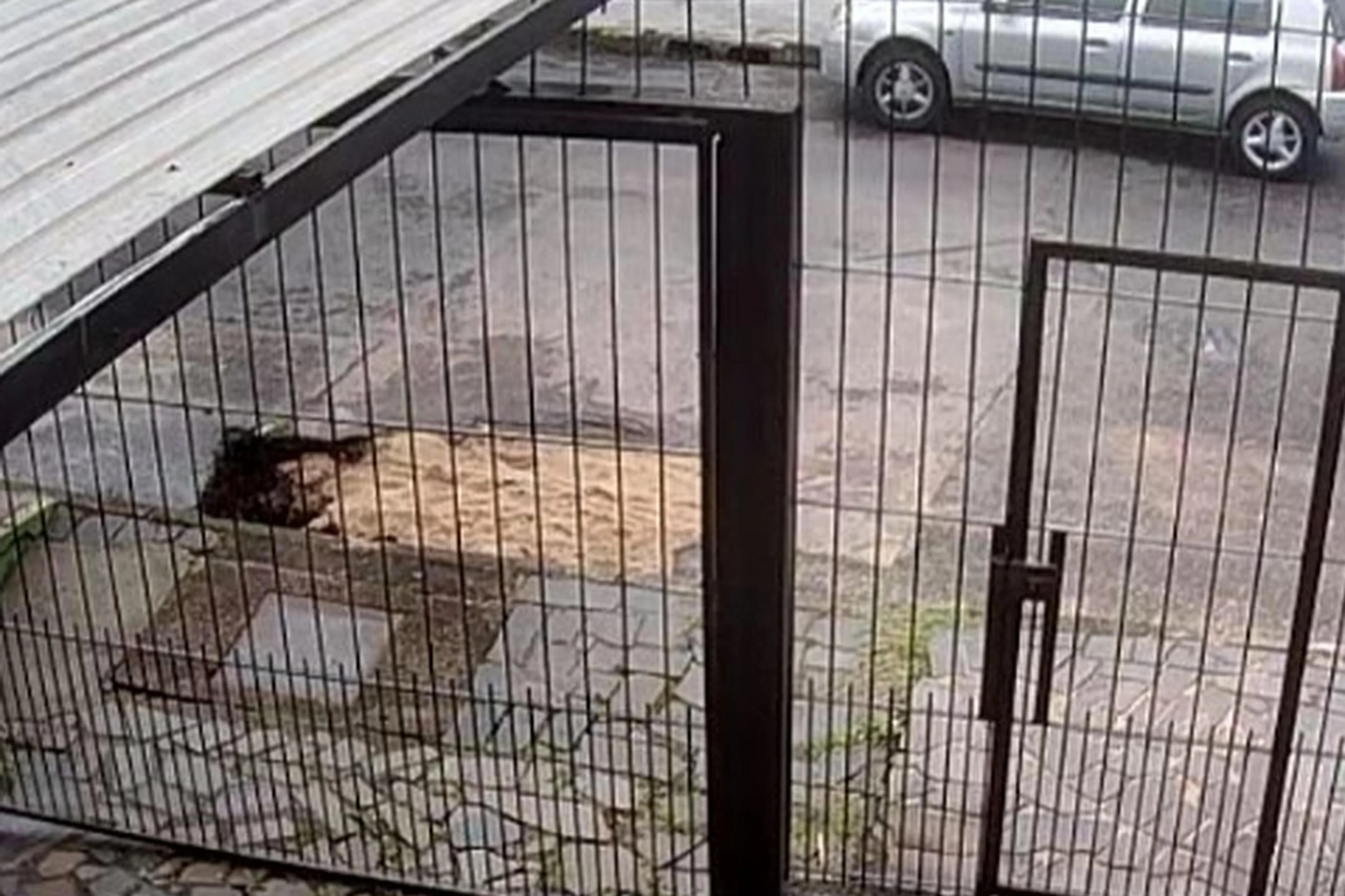 Susi Cristiane Barbosa/Arquivo pessoal