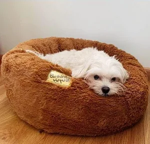 Artex / Divulgação