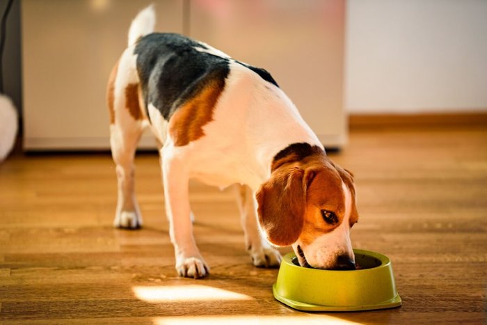 Przemek Iciak / Shutterstock | Portal EdiCase Przemek Iciak / Shutterstock | Portal EdiCase