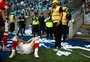 Súmula do Gre-Nal 445 relata arremesso de bomba e garrafa ao campo pela torcida do Grêmio