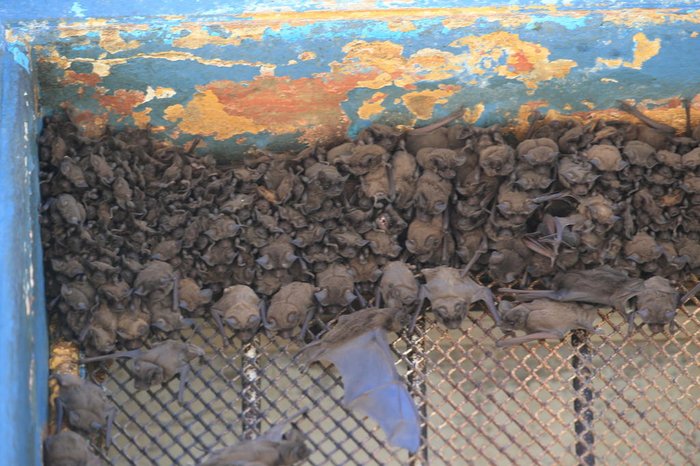 Ronaldo Bernardi / Agencia RBS