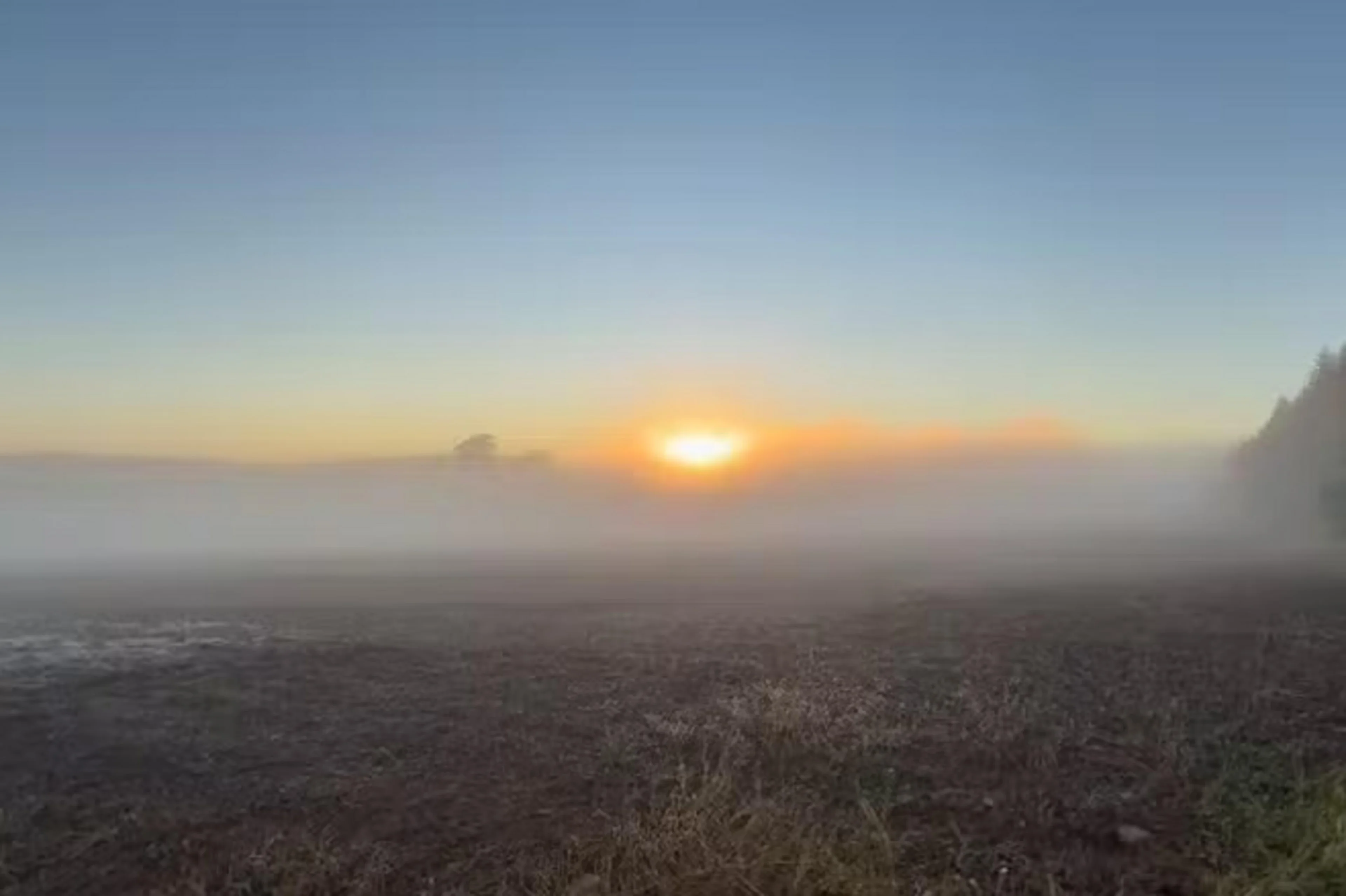 Tatiana Tramontina/RBS TV