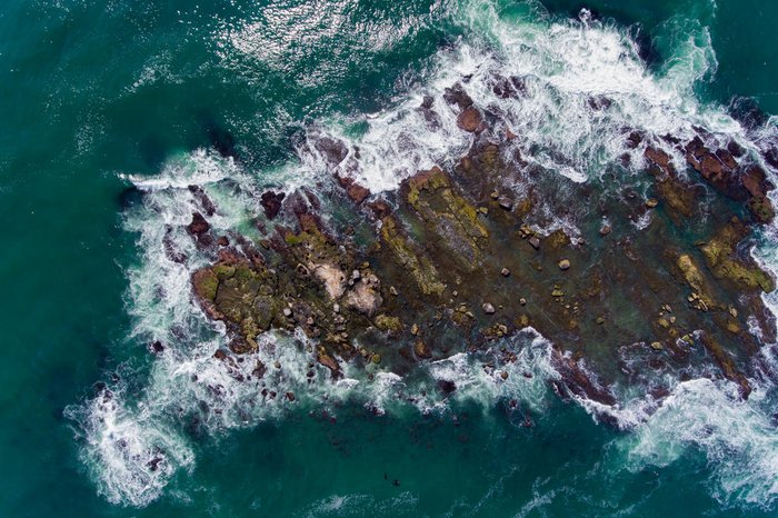 Plano de manejo da Ilha dos Lobos, em Torres, é aprovado pelo governo  federal com 18 anos de atraso | GZH