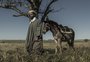 Gaúcho é finalista de concurso internacional de fotografia com trabalho sobre o Pampa; veja imagens