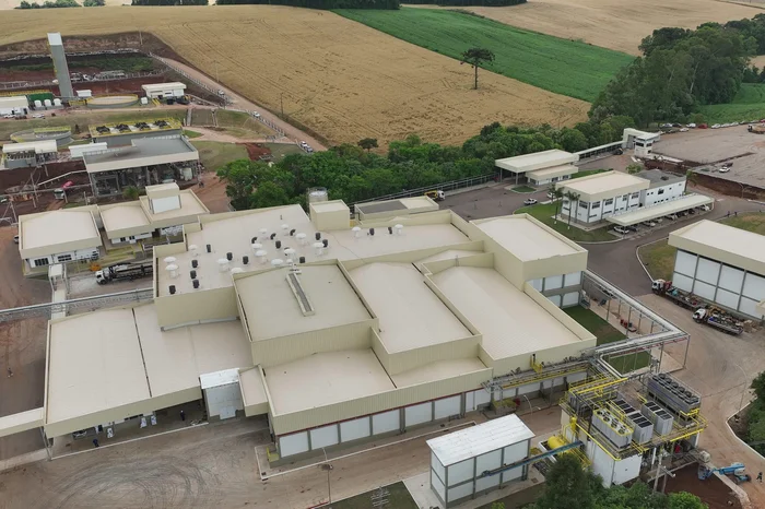 Aurora Coop / Divulgação