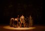 Escola Preparatória de Dança apresenta três sessões de "Os Saltimbancos" neste fim de semana em Caxias do Sul