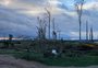 Zona rural de Pedro Osório concentra destruição após tornado; casas e galpões foram arrasados