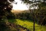 Projeto oferece a tranquilidade da zona rural de Garibaldi para residências artísticas