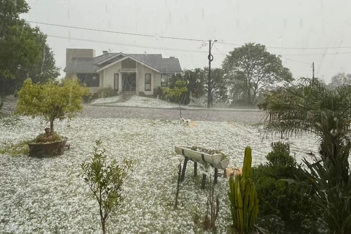 Weslei Pigatto Molinari / Arquivo Pessoal