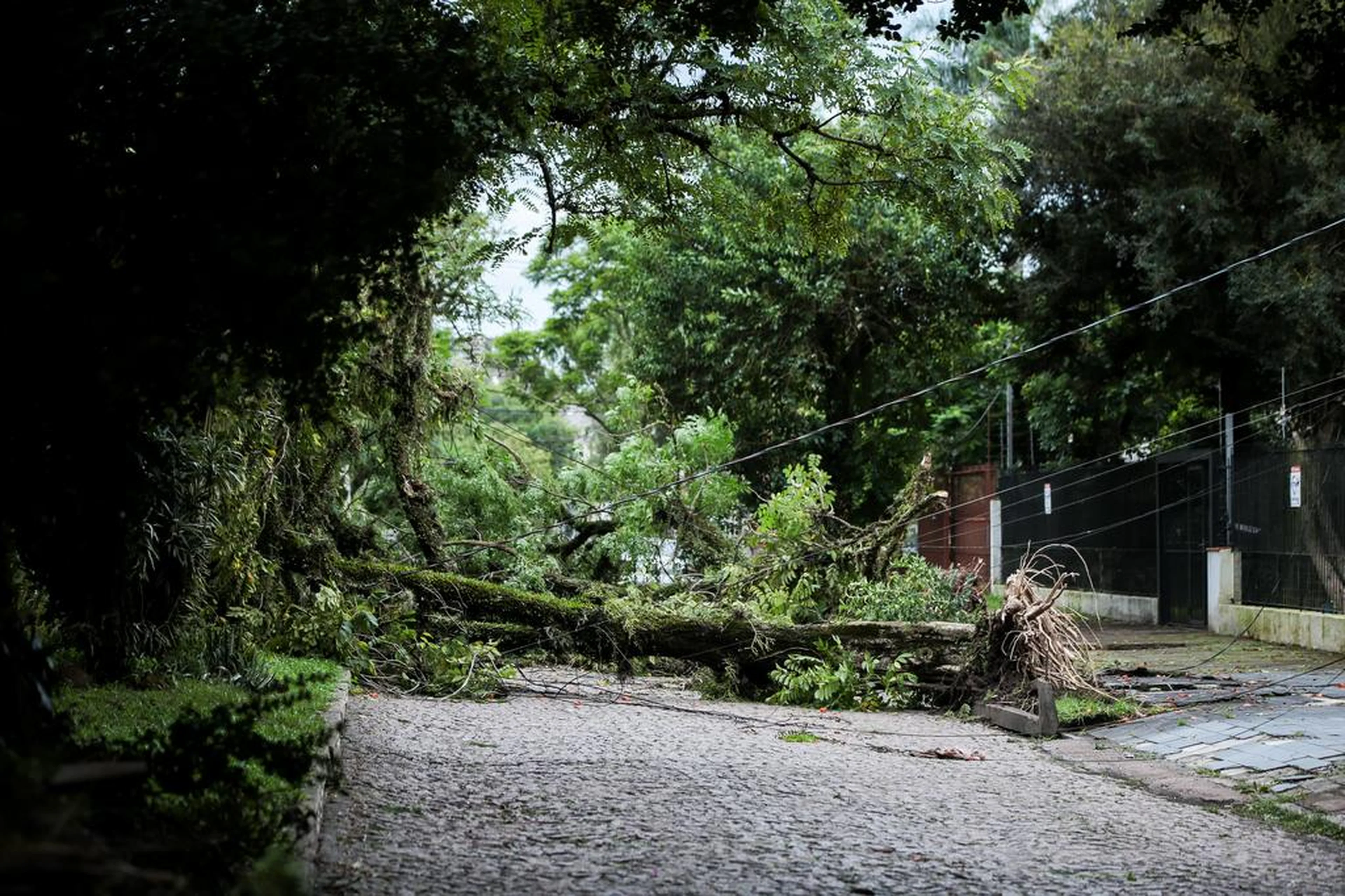 Matheus Pé/Especial / Agência RBS