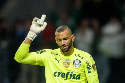 goleiro Weverton, da SE Palmeiras<!-- NICAID(16203963) -->
