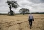Desconto em linhas de investimento dará alívio a agricultores, diz setor 