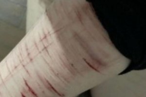 Polícia Federal / Divulgação