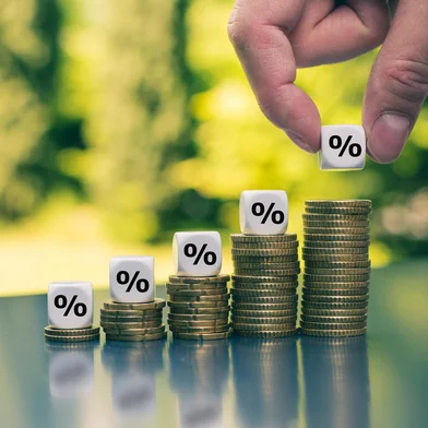 Investimento, lucro, rendimento, dinheiro. Foto:  Fokussiert  / stock.adobe.comIndexador: Frank HarmsFonte: 300214522Fotógrafo: Percentage signs on increasing h<!-- NICAID(14896162) -->