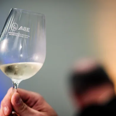 Avaliação Nacional de Vinhos: as uvas e as vinícolas reconhecidas na safra 2024<!-- NICAID(15894673) -->