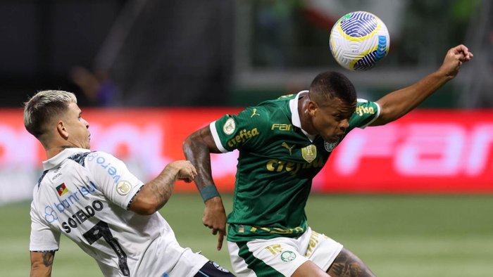 Cesar Greco / SE Palmeiras/Divulgação Cesar Greco / SE Palmeiras/Divulgação