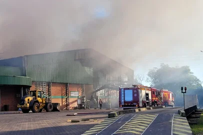 Pablo Ribeiro / Agencia RBS Incêndio atinge reciclagem na Linha Julieta, em Farroupilha.<!-- NICAID(16186692) -->