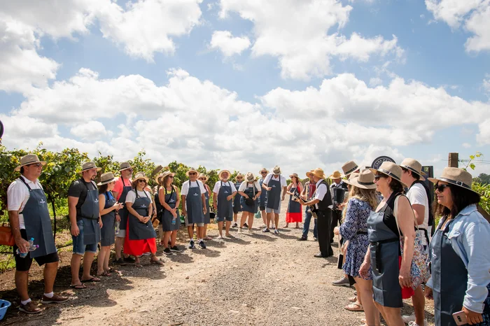 Corte Food / Divulgação Corte Food / Divulgação