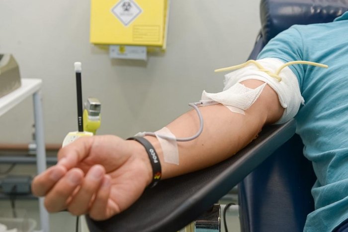 João Pedro Bressan / Divulgação