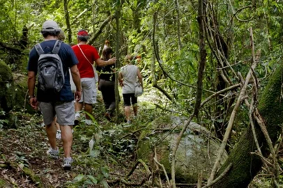 Coluna da Rosane Tremea sobre Caminhos Rurais de Porto Alegre<!-- NICAID(15699115) -->