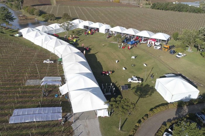 Cooperativa Vinícola Aurora / Divulgação