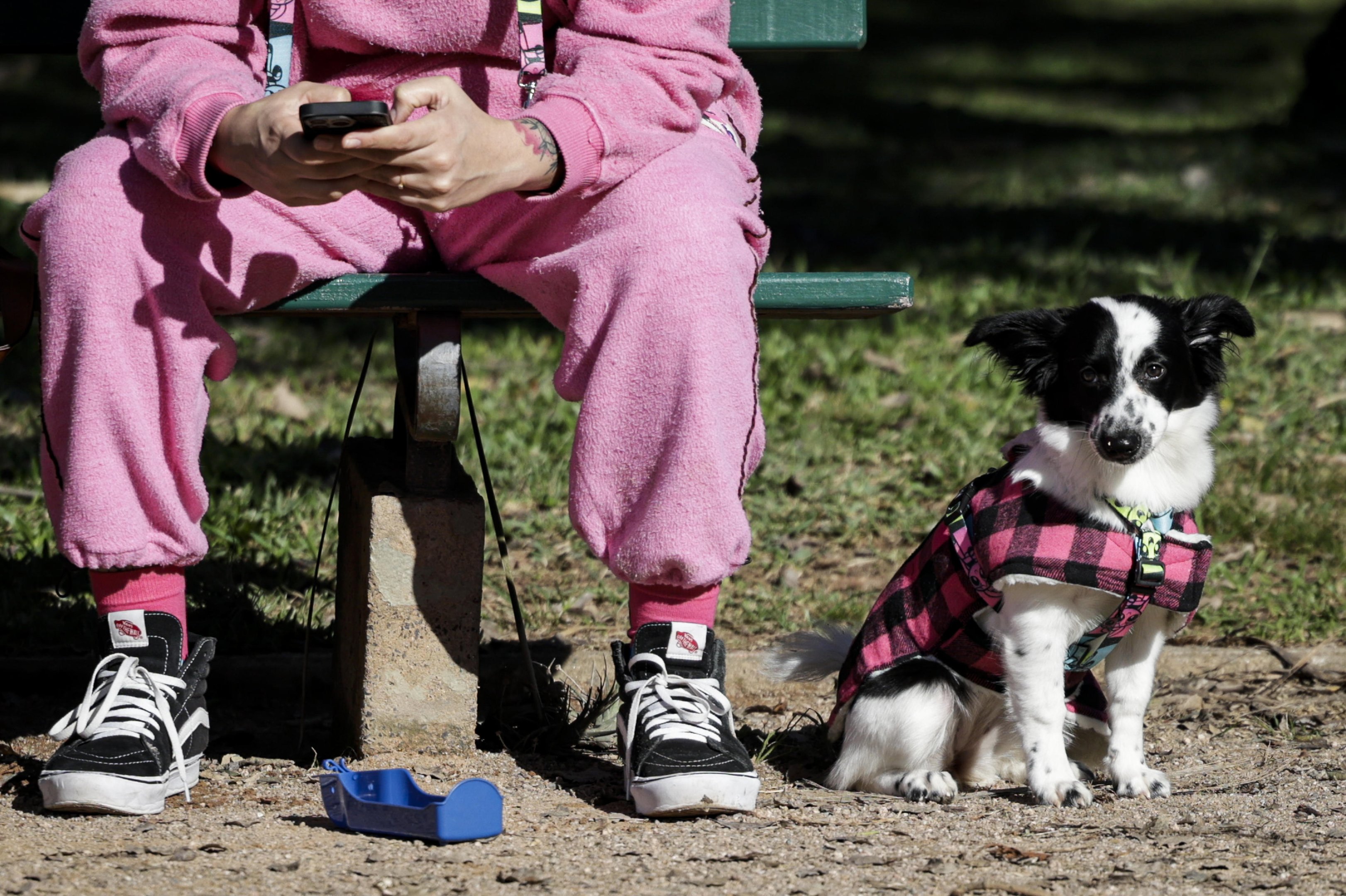 Frio d&aacute; sinais nesta quinta-feira, mas n&atilde;o se imp&otilde;e: quando a temperatura cai de vez no RS?