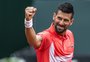 Em Genebra, Novak Djokovic conquista 100º título da carreira