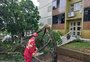 Em 20 minutos, temporal provoca destelhamentos de 17 casas e danifica três prédios públicos em Serafina Corrêa 