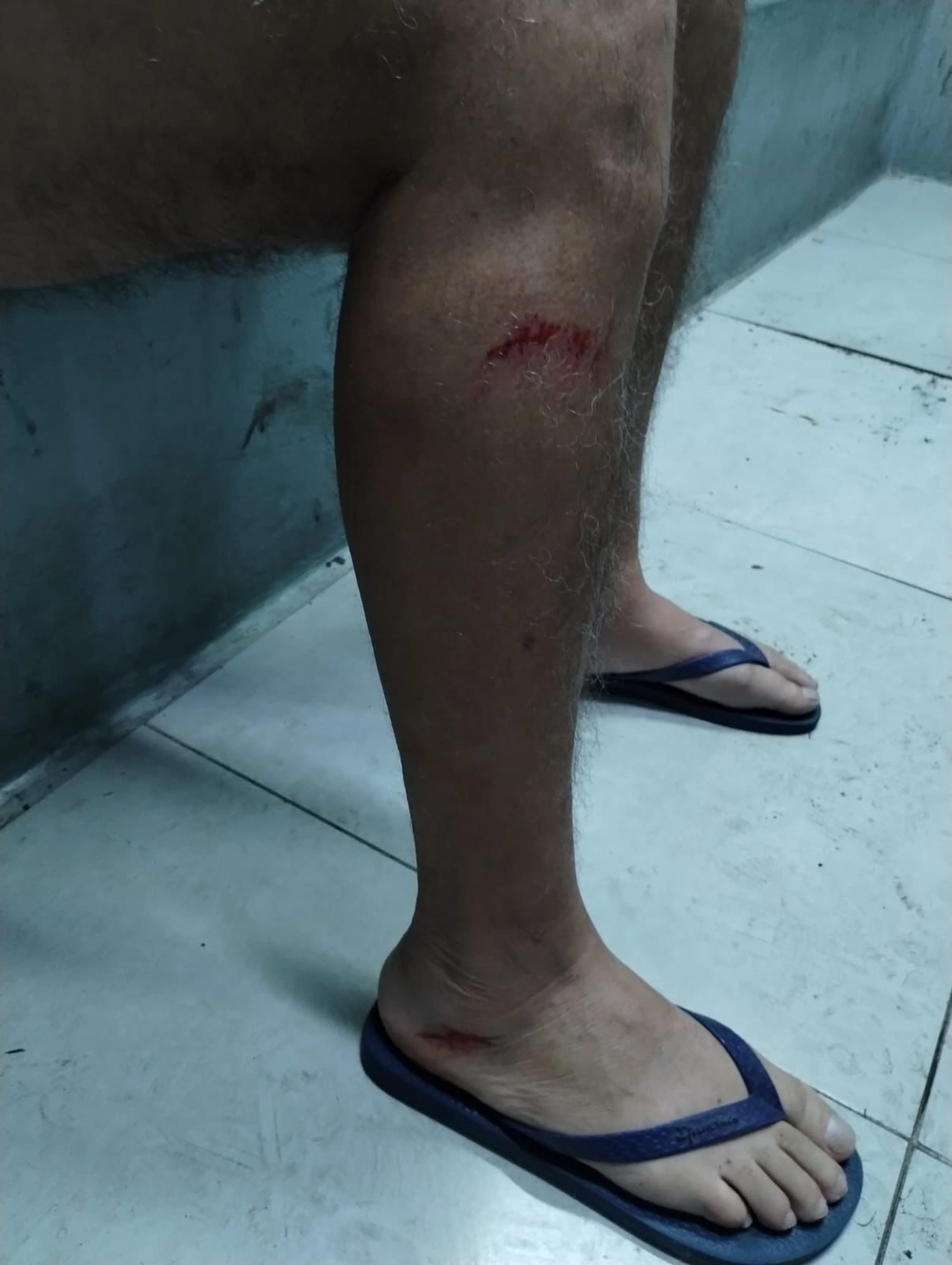 Brigada Militar/Divulgação