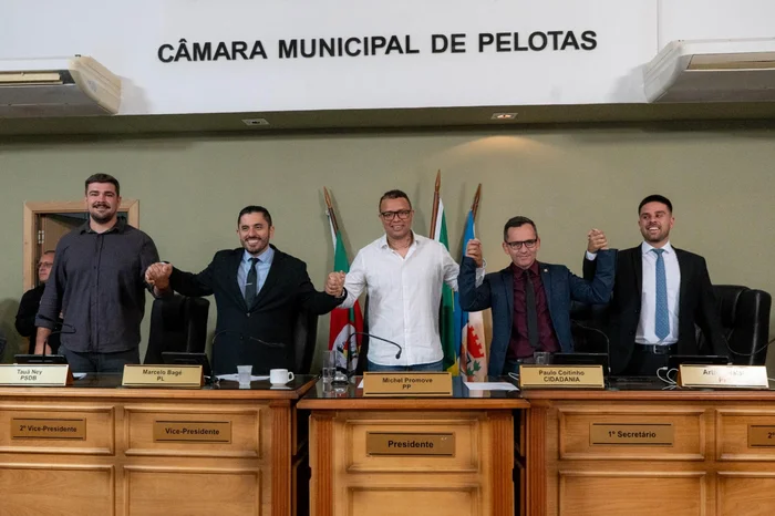 Fernanda Tarnac / Câmara de Vereadores de Pelotas