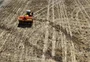 Estimativa atualizada da safra de inverno reafirma alento aos produtores no RS