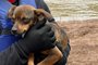 Após 14 dias ilhado, cachorrinho é resgatado em Veranópolis<!-- NICAID(15767550) -->