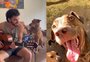 "Quando eu começo a tocar, ele uiva": cão resgatado no RS vira tema de música e hit nas redes