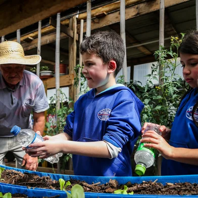 CAXIAS DO SUL, RS, BRASIL, 19/09/2025. Projeto Verde Esperança: Cultivando Saberes, Valores e Sustentabilidade.da Escola de Ensino Fundamental São José, do bairro Capivari, em Caxias do Sul. Trata-se de um projeto de conscientização ambiental e educação financeira, com plantação de mudas com uma estufa e horta. Entrevistas com a diretora Andrieli Bolzan Giediel, com a coordenadora pedagógica Vanessa de Aguiar, com o voluntário Oscar Rech, e com os alunos Thiago Rodrigues, de 10 anos, e Gabriel Henrique Angst, de 11 anos, estudantes da 5ª série. (Neimar De Cesero/Agência RBS)Indexador: Neimar De Cesero<!-- NICAID(16128479) -->