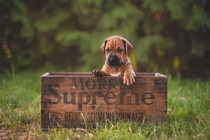 michaela.bilovska / Shutterstock | Portal EdiCase michaela.bilovska / Shutterstock | Portal EdiCase