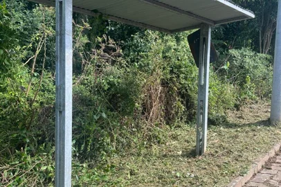 Roçada feita na parada de ônibus do loteamento Madrid<!-- NICAID(15688018) -->