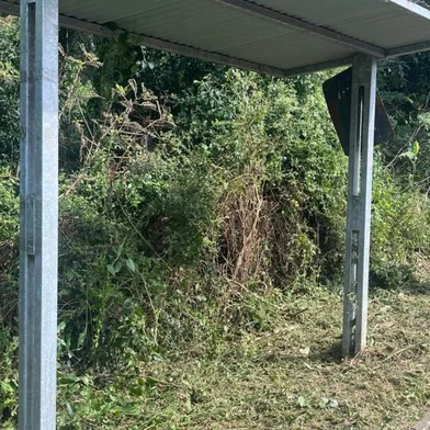 Roçada feita na parada de ônibus do loteamento Madrid<!-- NICAID(15688018) -->