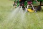 PASSO FUNDO, RS, BRASIL, 04/09/2018: Glifosato é usado na preparação do solo para o plantio de soja pelo sistema de cultivo direto.(FOTO: Diogo Zanatta / Especial )<!-- NICAID(13724638) -->