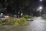 Temporal deixa uma pessoa gravemente ferida, derruba árvores e placas e causa transtornos em Pelotas